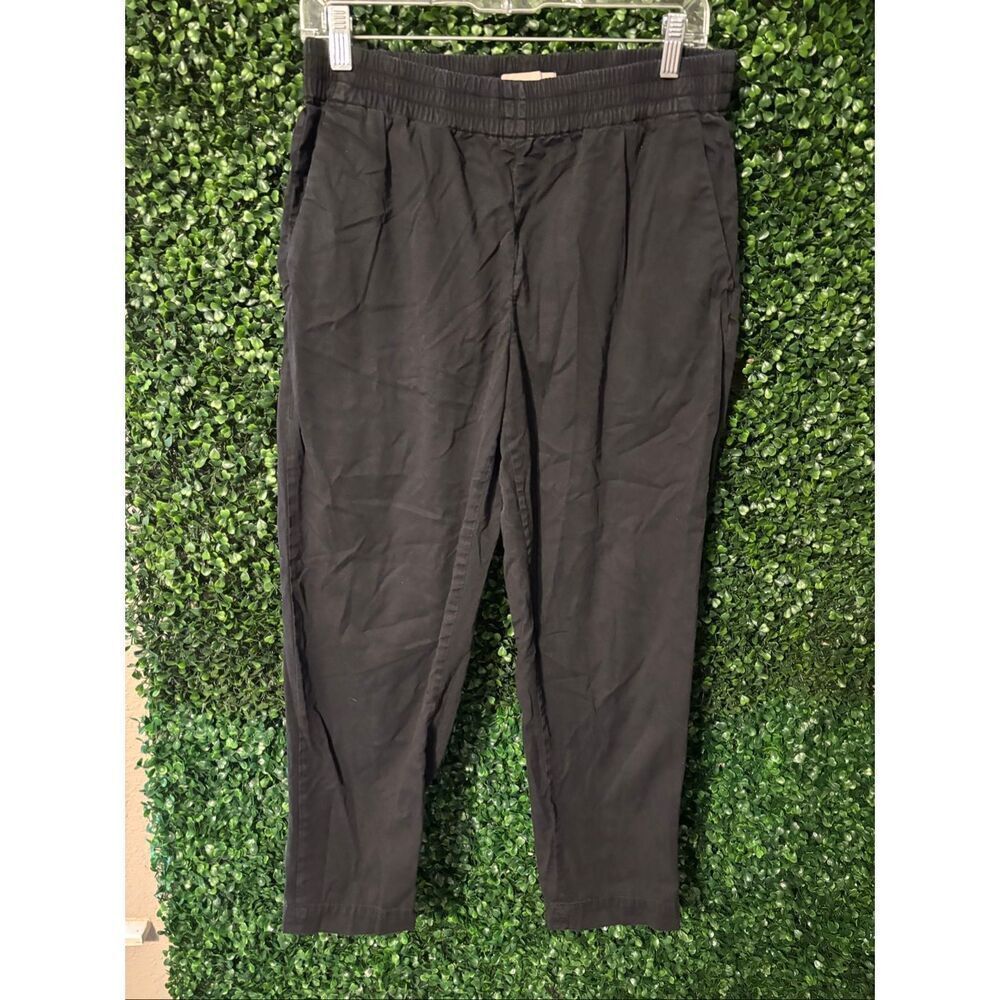 Everlane Black Tapered Pull On Pants Sz 6